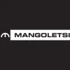 Mangoletsi Holdings